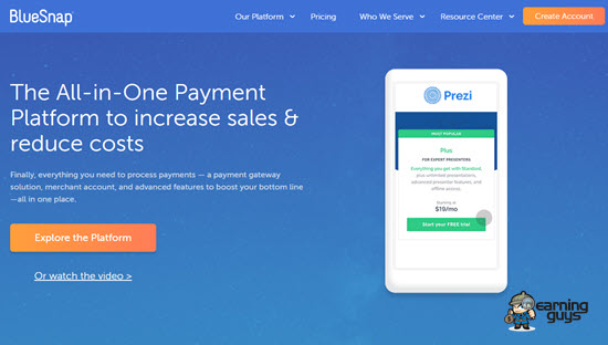 BlueSnap Payment Platform