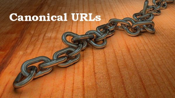 What are Canonical URLs and How to Solve Canonical URLs Errors