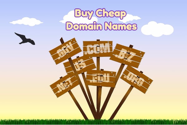 Best Websites to Buy Cheap Domain Names