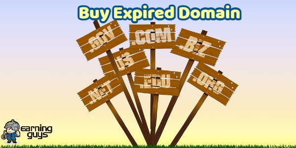 8 Best Places to Buy Expired Domain