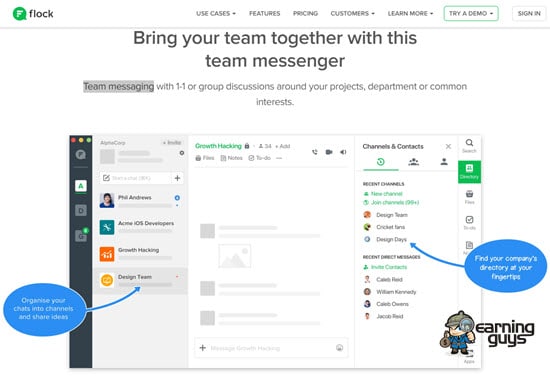 Flock Team Messaging Software