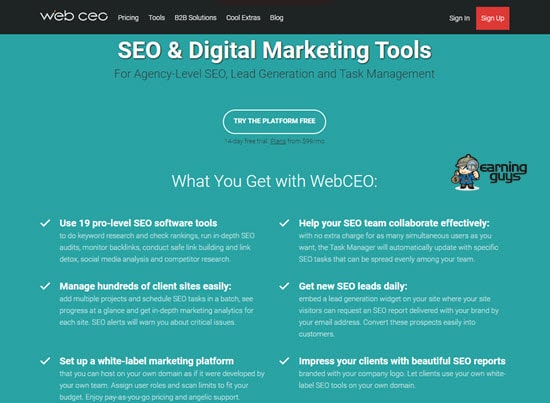 WebCEO SEO Audit Software
