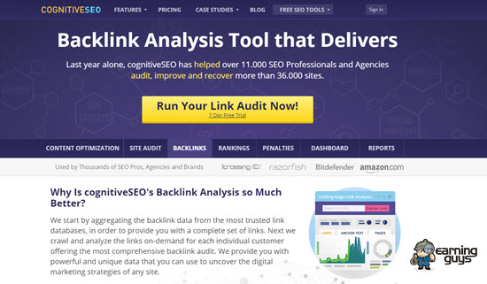 cognitiveSEO Backlink Analysis