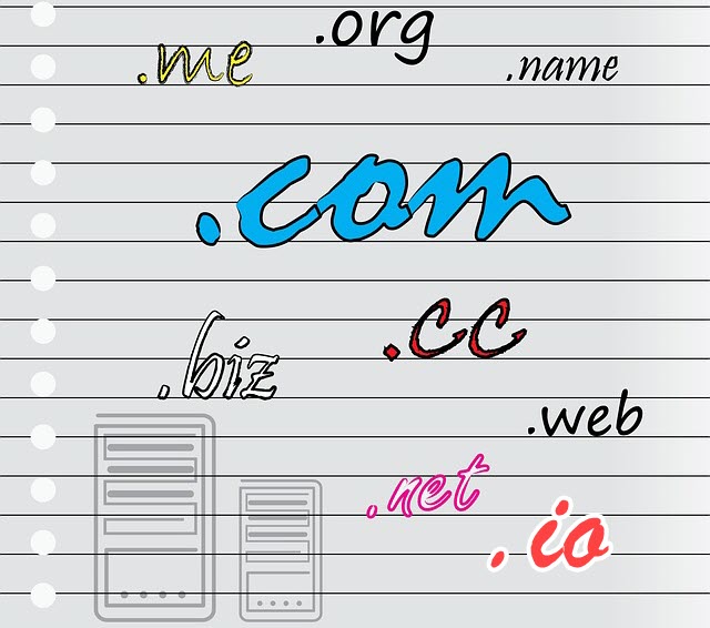 .io Domain Name