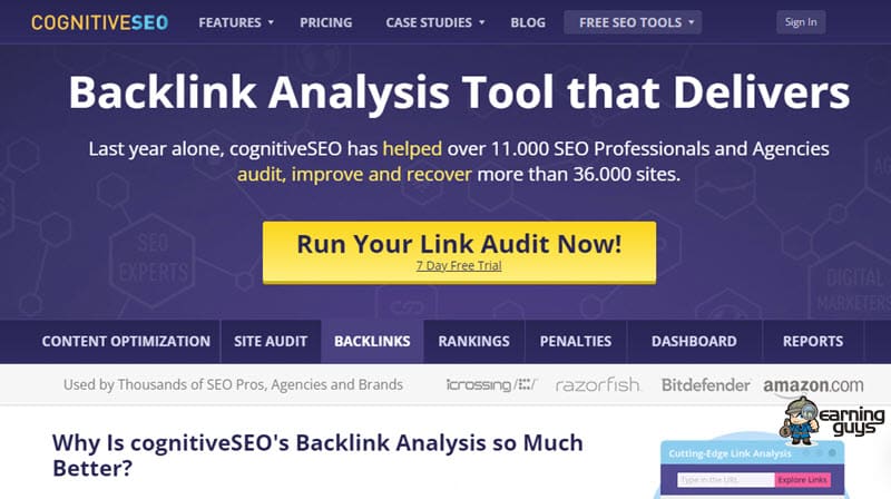 CognitiveSEO Backlink Analysis