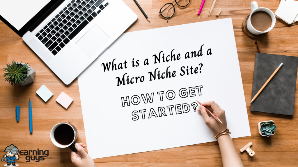 What is NIche Site